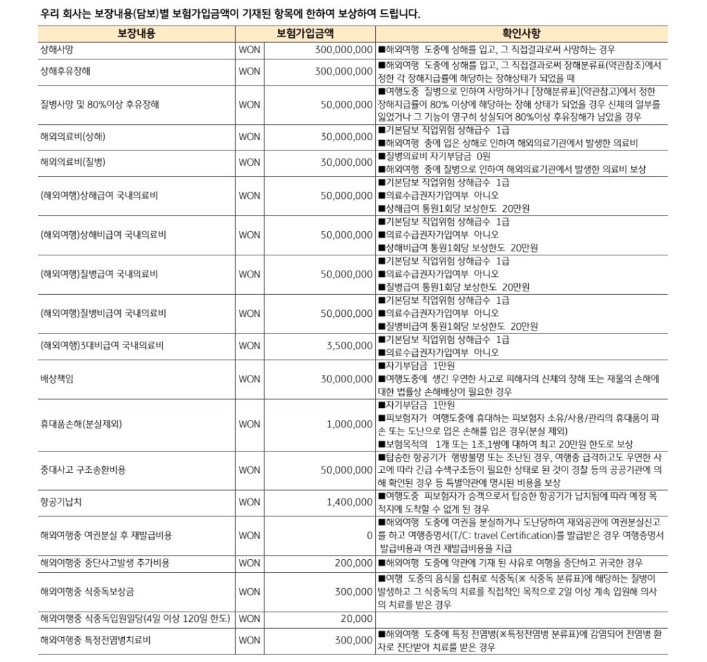 여행자보험 가입 전 필수 6가지 체크리스트 7 여행자보험보장내용 참고