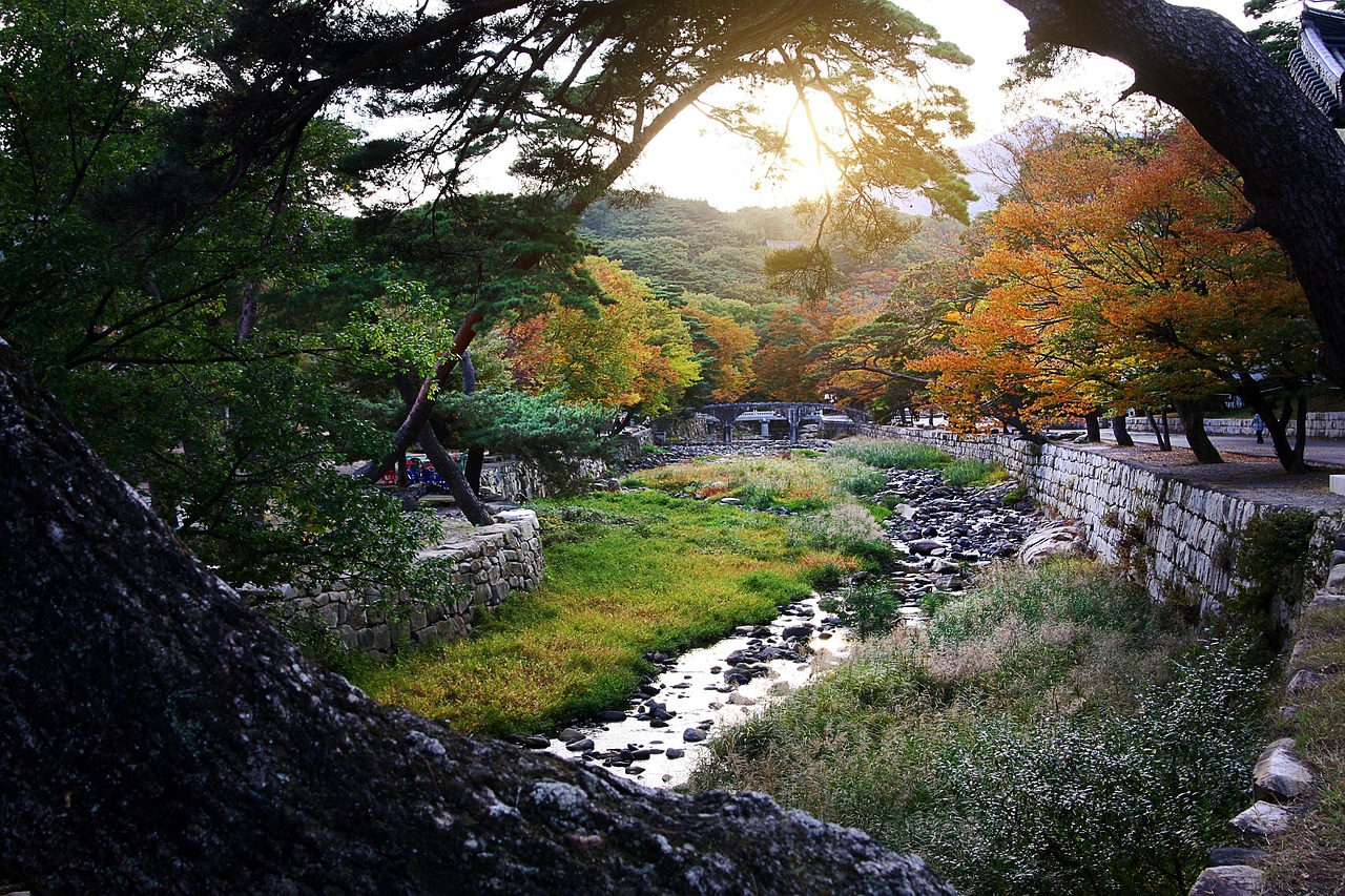 추석 해외여행 패키지, 지금 안 예약하면 후회합니다 — 골든타임 3개월의 진실 6 추석 해외여행 패키지, 지금 안 예약하면 후회합니다 — 골든타임 3개월의 진실