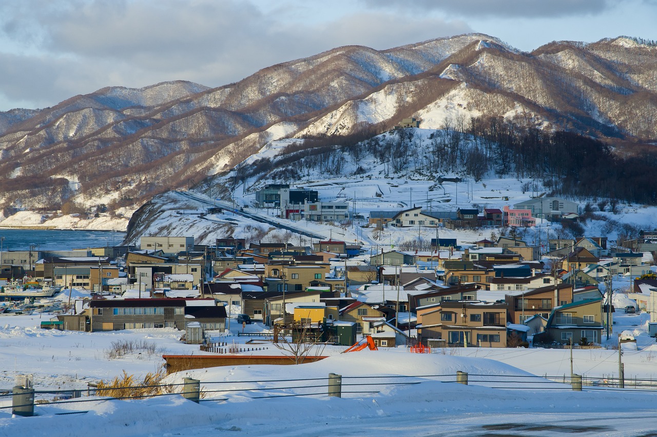 삿포로 패키지여행 7월 라벤더 시즌 홋카이도 전경